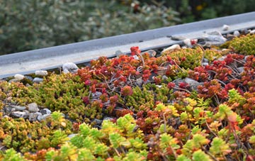 the cost of Crai green roof installation