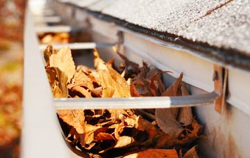 Crai gutter cleaning companies