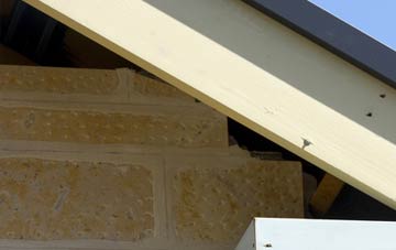 soffit repair Crai