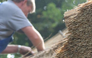 professional Crai thatchers