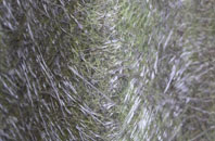 Crai fibreglass roof work